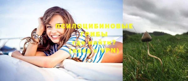 марки lsd Богородицк
