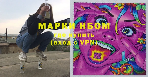 метадон Богданович